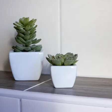 Liegeplatz * Dornumersiel